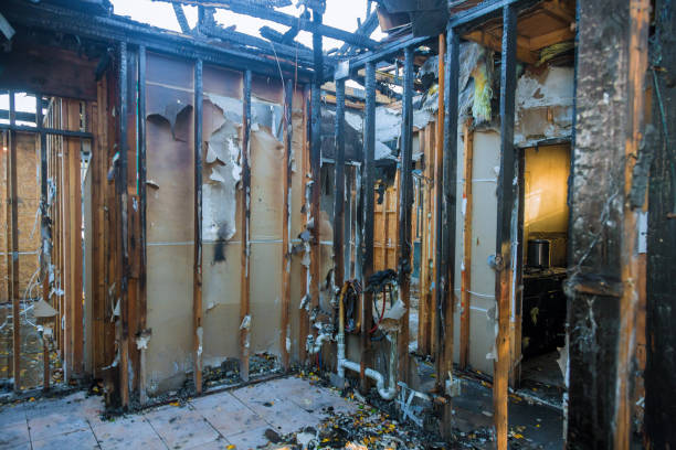 Professional Fire Damage Assessment technician working in Indian Rocks Beach, FL